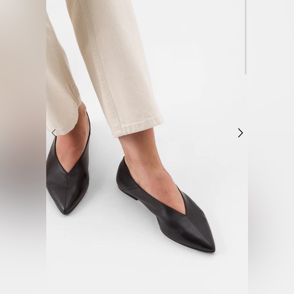 Aeyde Shoes - Aeyde Moa point toe flat